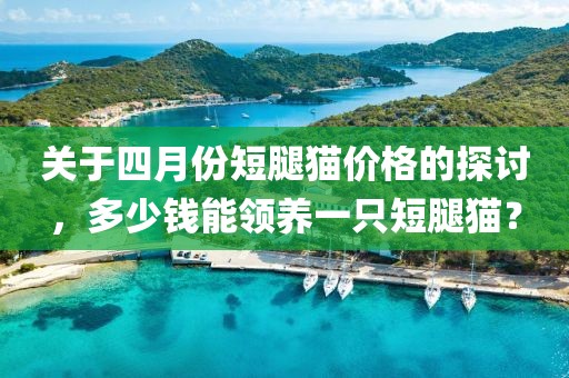 關(guān)于四月份短腿貓價格的探討，多少錢能領(lǐng)養(yǎng)一只短腿貓？