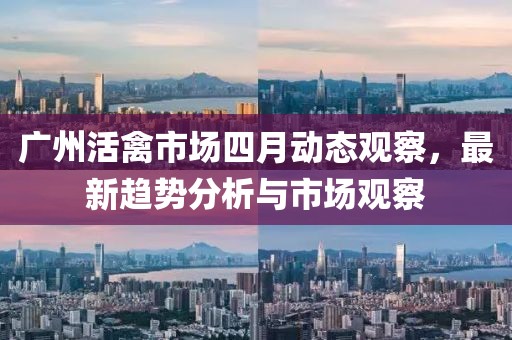 廣州活禽市場(chǎng)四月動(dòng)態(tài)觀察，最新趨勢(shì)分析與市場(chǎng)觀察