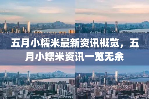 五月小糯米最新資訊概覽，五月小糯米資訊一覽無(wú)余