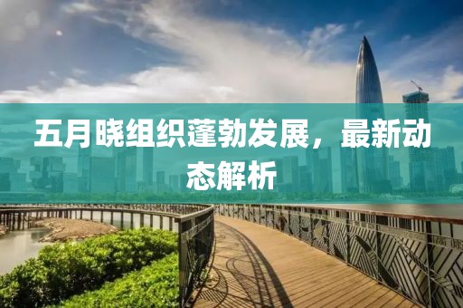 五月曉組織蓬勃發(fā)展，最新動態(tài)解析