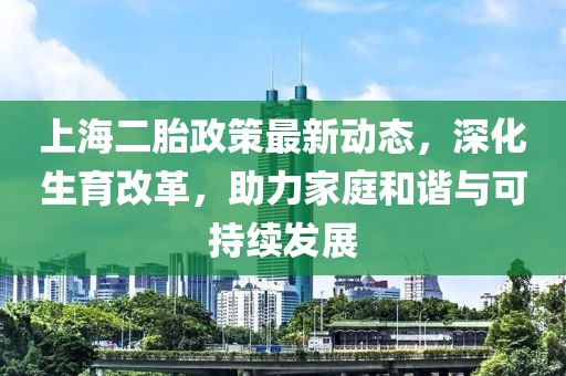 上海二胎政策最新動態(tài)，深化生育改革，助力家庭和諧與可持續(xù)發(fā)展