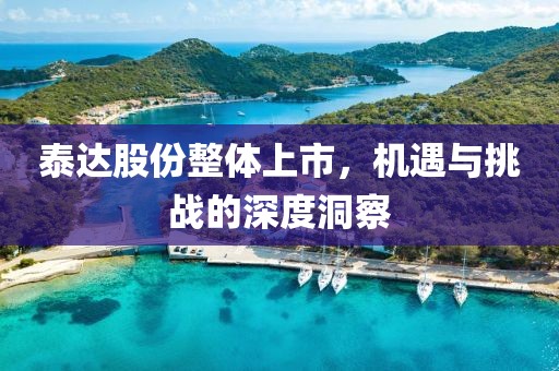 泰達(dá)股份整體上市，機(jī)遇與挑戰(zhàn)的深度洞察