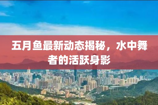 五月魚最新動態(tài)揭秘，水中舞者的活躍身影