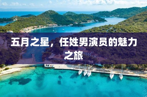 五月之星，任姓男演員的魅力之旅