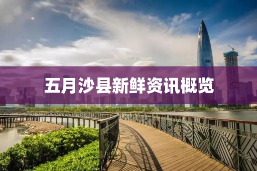 五月沙縣新鮮資訊概覽