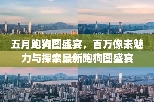 五月跑狗圖盛宴，百萬像素魅力與探索最新跑狗圖盛宴