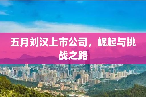 五月劉漢上市公司，崛起與挑戰(zhàn)之路