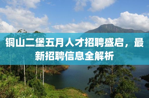 銅山二堡五月人才招聘盛啟，最新招聘信息全解析
