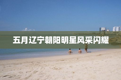 五月遼寧朝陽明星風(fēng)采閃耀