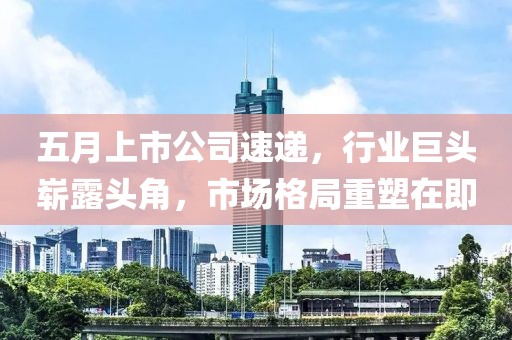 五月上市公司速遞，行業(yè)巨頭嶄露頭角，市場格局重塑在即