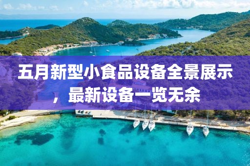 五月新型小食品設(shè)備全景展示，最新設(shè)備一覽無余