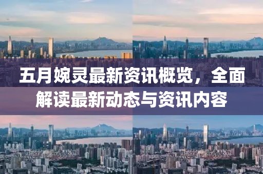五月婉靈最新資訊概覽，全面解讀最新動(dòng)態(tài)與資訊內(nèi)容
