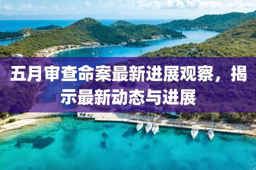 五月審查命案最新進(jìn)展觀察，揭示最新動(dòng)態(tài)與進(jìn)展