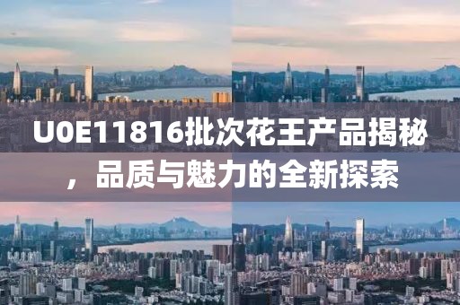U0E11816批次花王產(chǎn)品揭秘，品質(zhì)與魅力的全新探索