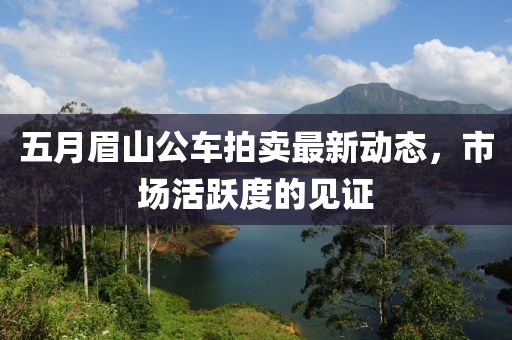 五月眉山公車拍賣最新動態(tài)，市場活躍度的見證