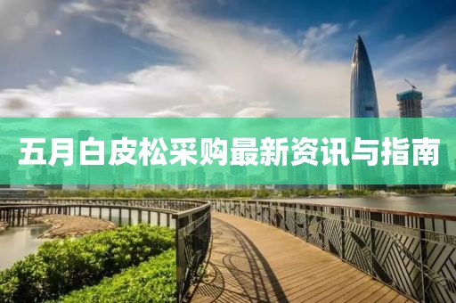 五月白皮松采購(gòu)最新資訊與指南