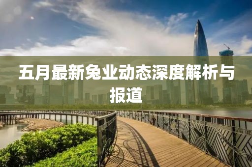 五月最新兔業(yè)動態(tài)深度解析與報道