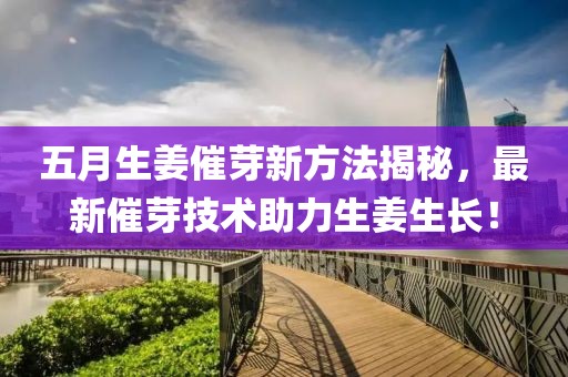 五月生姜催芽新方法揭秘，最新催芽技術(shù)助力生姜生長(zhǎng)！