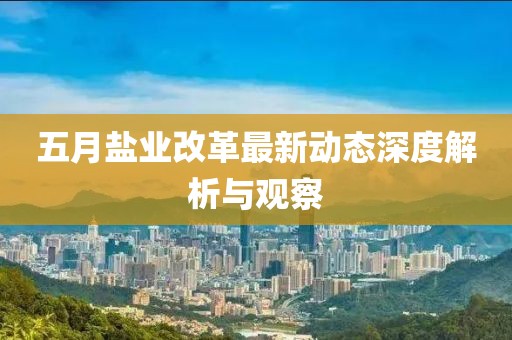 五月鹽業(yè)改革最新動(dòng)態(tài)深度解析與觀察