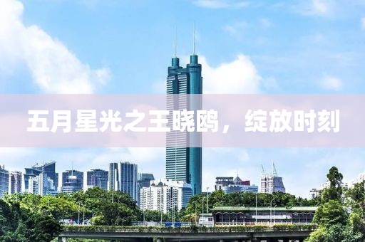 五月星光之王曉鷗，綻放時刻