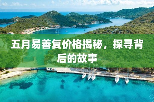 五月易善復價格揭秘，探尋背后的故事