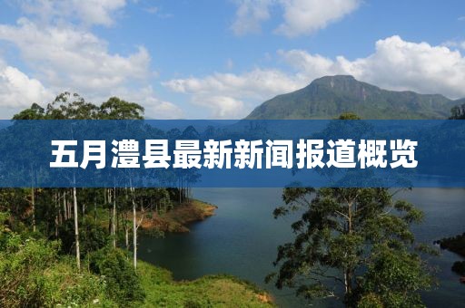 五月澧縣最新新聞報(bào)道概覽