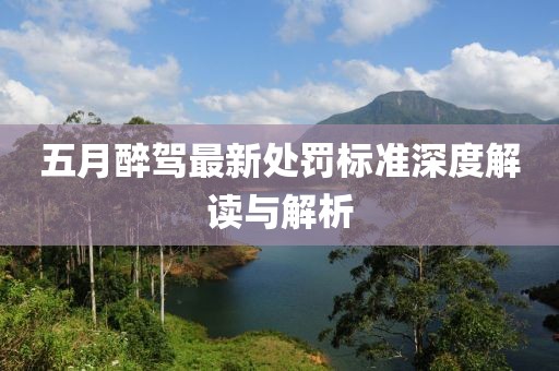五月醉駕最新處罰標準深度解讀與解析