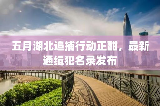 五月湖北追捕行動正酣，最新通緝犯名錄發(fā)布