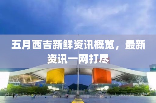 五月西吉新鮮資訊概覽，最新資訊一網(wǎng)打盡