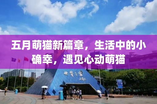 五月萌貓新篇章，生活中的小確幸，遇見心動萌貓