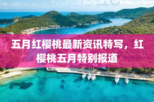 五月紅櫻桃最新資訊特寫，紅櫻桃五月特別報(bào)道