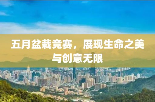 五月盆栽競賽，展現(xiàn)生命之美與創(chuàng)意無限