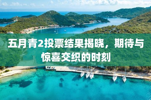 五月青2投票結(jié)果揭曉，期待與驚喜交織的時(shí)刻