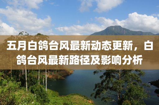 五月白鴿臺風最新動態(tài)更新，白鴿臺風最新路徑及影響分析