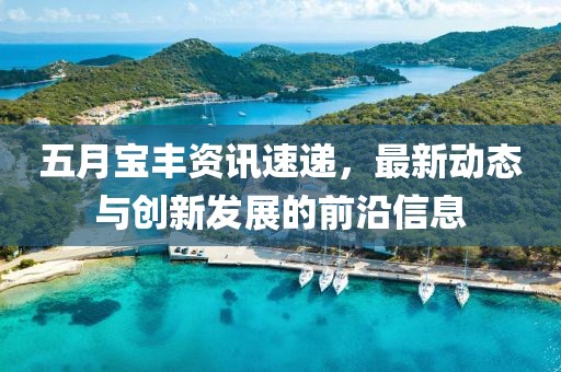 五月寶豐資訊速遞，最新動態(tài)與創(chuàng)新發(fā)展的前沿信息