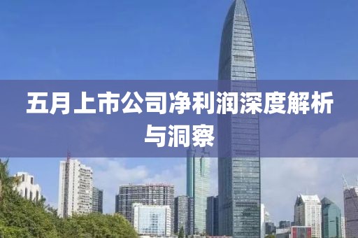 五月上市公司凈利潤深度解析與洞察