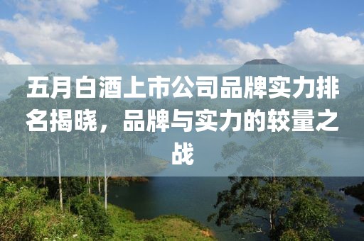 五月白酒上市公司品牌實力排名揭曉，品牌與實力的較量之戰(zhàn)