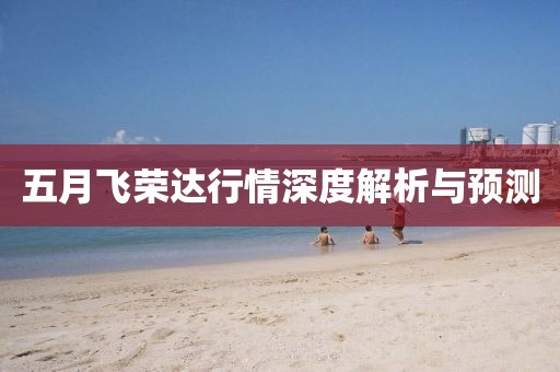 五月飛榮達(dá)行情深度解析與預(yù)測