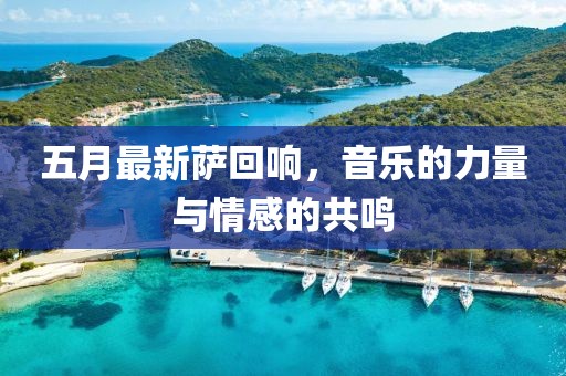 五月最新薩回響，音樂的力量與情感的共鳴
