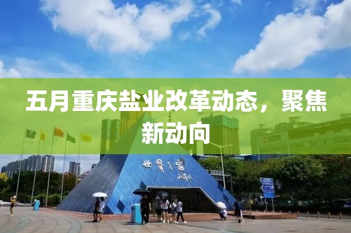 五月重慶鹽業(yè)改革動(dòng)態(tài)，聚焦新動(dòng)向