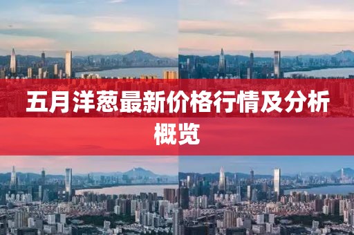 五月洋蔥最新價(jià)格行情及分析概覽