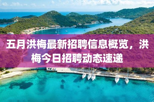 五月洪梅最新招聘信息概覽，洪梅今日招聘動態(tài)速遞