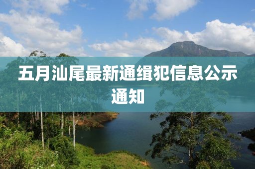 孤行者 第2頁(yè)