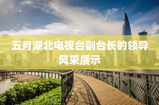 五月湖北電視臺(tái)副臺(tái)長(zhǎng)的領(lǐng)導(dǎo)風(fēng)采展示
