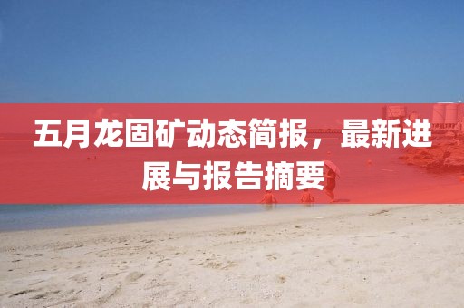 五月龍固礦動態(tài)簡報，最新進展與報告摘要