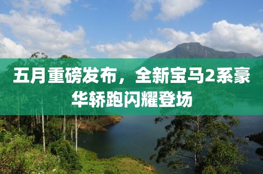 五月重磅發(fā)布，全新寶馬2系豪華轎跑閃耀登場(chǎng)