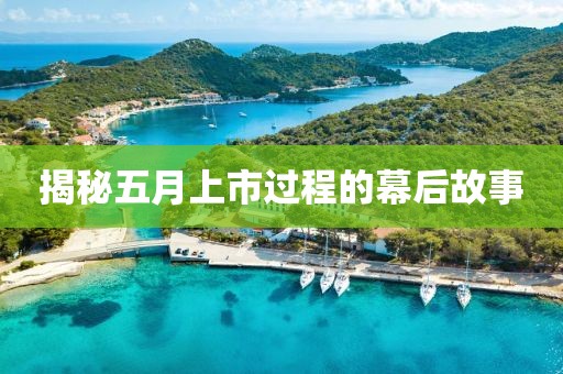 揭秘五月上市過程的幕后故事