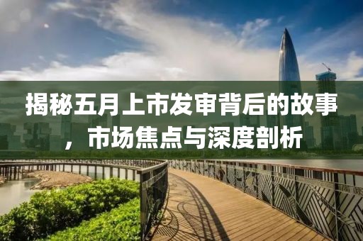 揭秘五月上市發(fā)審背后的故事，市場焦點(diǎn)與深度剖析
