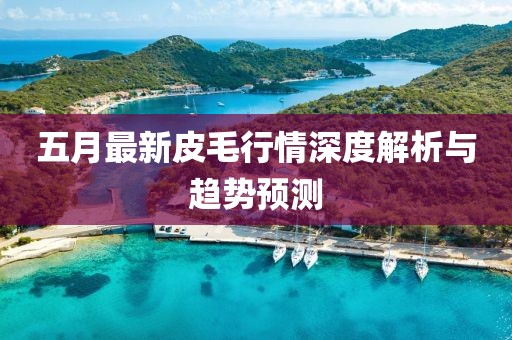 五月最新皮毛行情深度解析與趨勢(shì)預(yù)測(cè)
