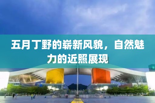 五月丁野的嶄新風貌，自然魅力的近照展現(xiàn)